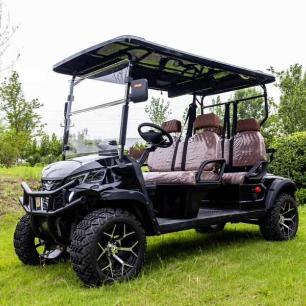2025 Multifunctional 6 Person Electric Sightseeing Golf Cart Lifted Golf Carts With CE - Image 4