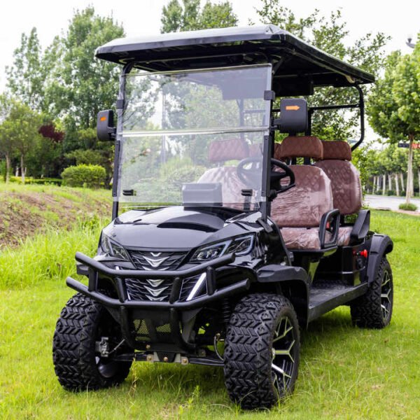 2025 Multifunctional 6 Person Electric Sightseeing Golf Cart Lifted Golf Carts With CE - Image 3