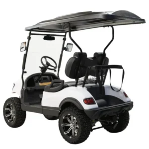 Massimo MGC2 Electric Golf Kart